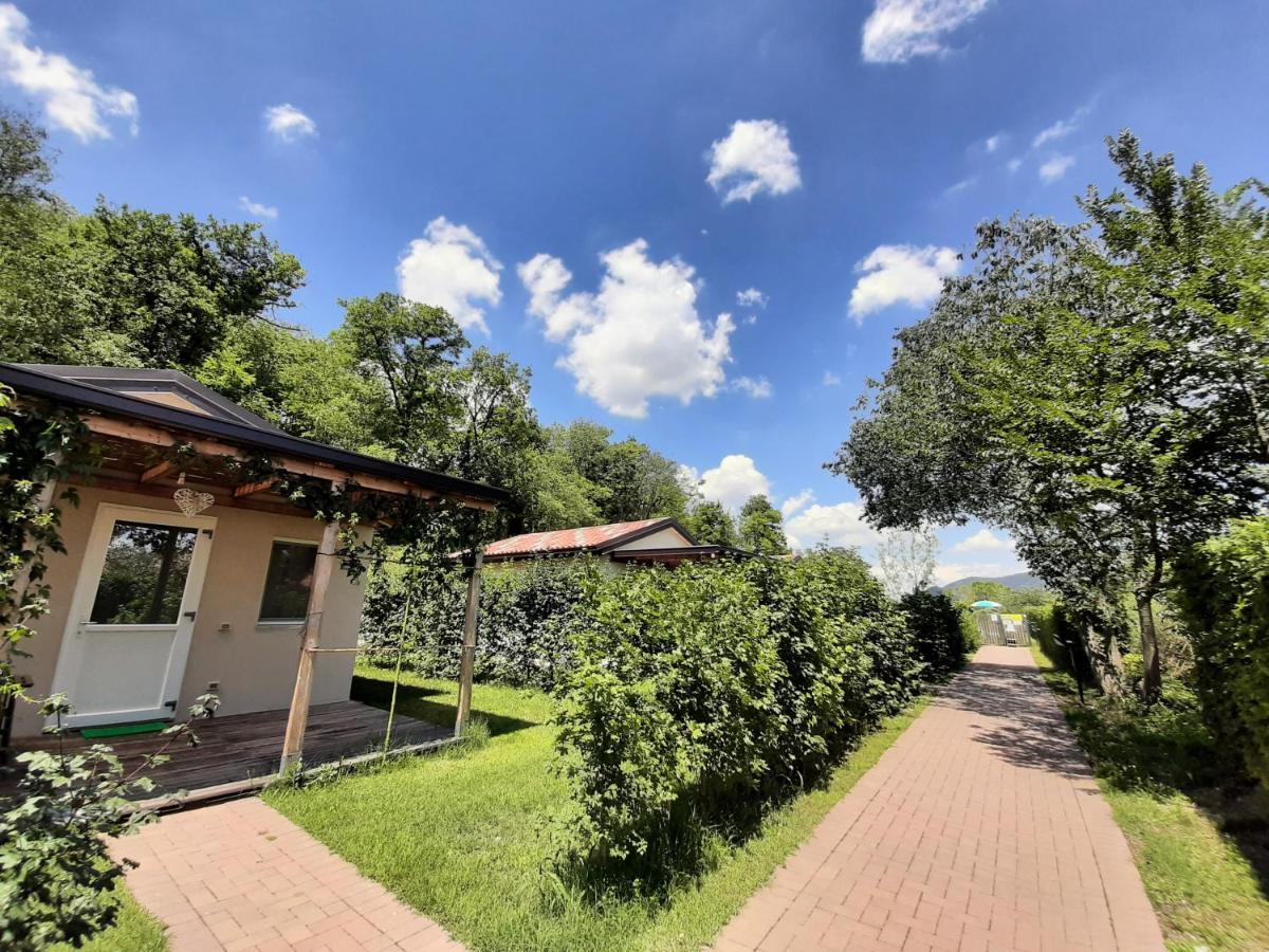 Agriturismo Alba Baone Exterior foto